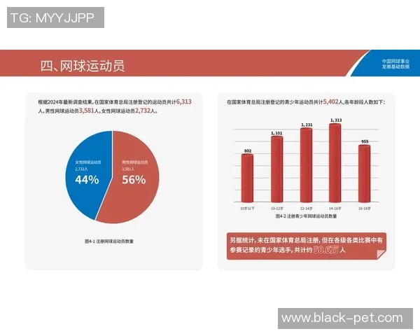 南京网球队意识表现的数据分析与提升策略探讨