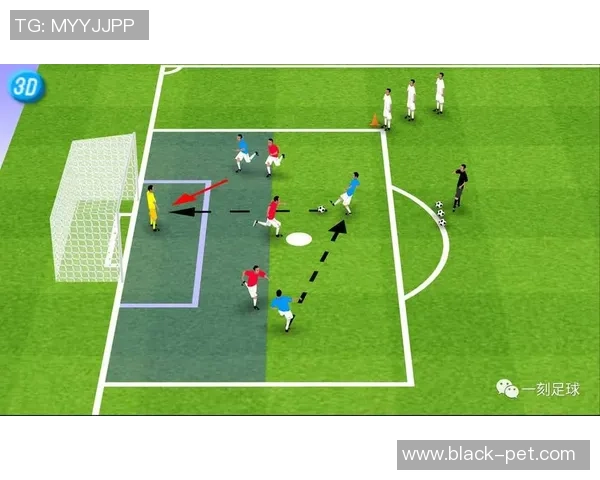 武汉足球队战术解析与发展趋势探讨聚焦足球的未来之路