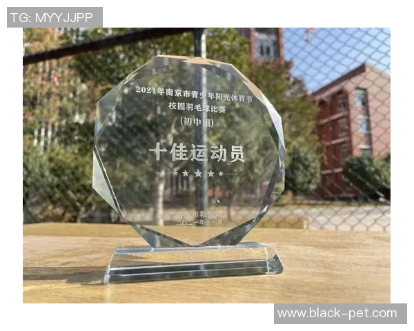 深圳羽毛球队精英赛技术表现分析与未来发展展望