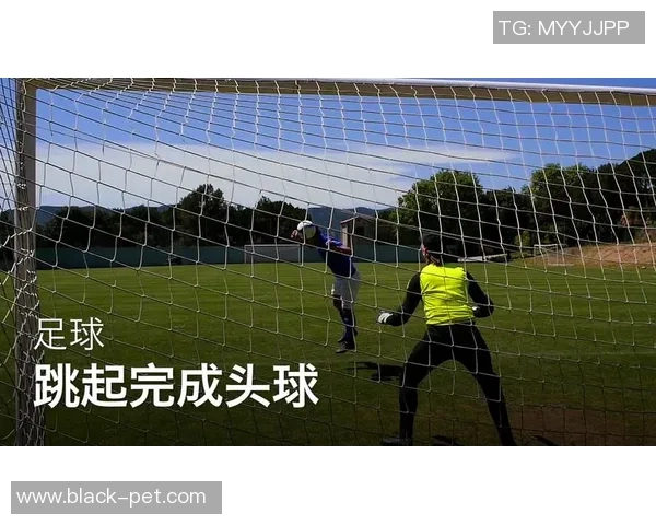 足球新手必看：从零开始的实力提升与技巧掌握全攻略